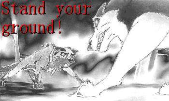 BaltoSteeleStandYourGroundSig