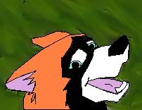 My Awesome New Avie