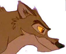 Balto Trans