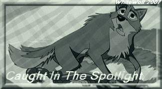 Spotlight