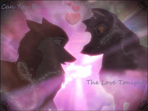 Can You Feel The Love Tonight