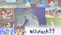 wildash99
