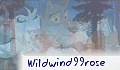Wildwind99rose