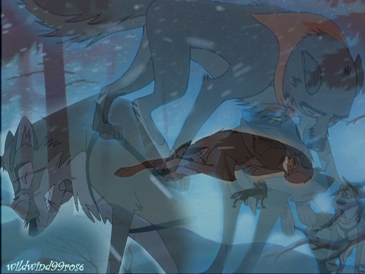 Don't Give Up, Balto!
