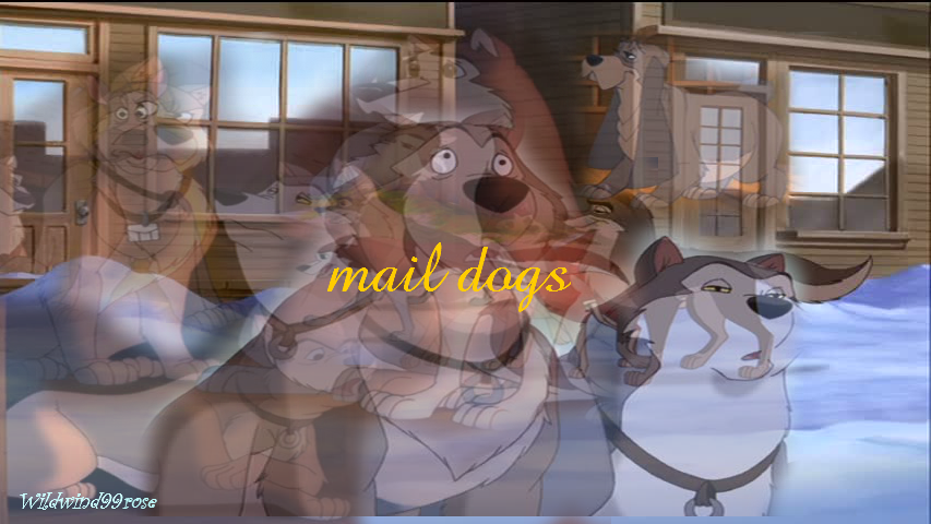mail dogs