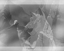 Aniu looks Balto