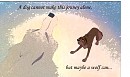 Maybe a wolf can...