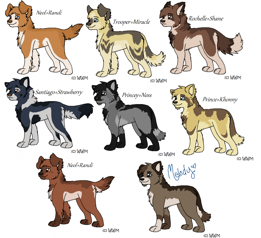 FaaaanPups