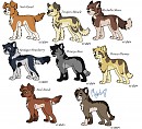 FaaaanPups