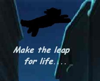 the leap