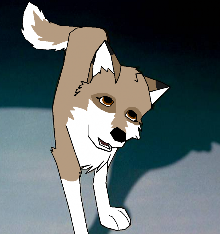 Dandi