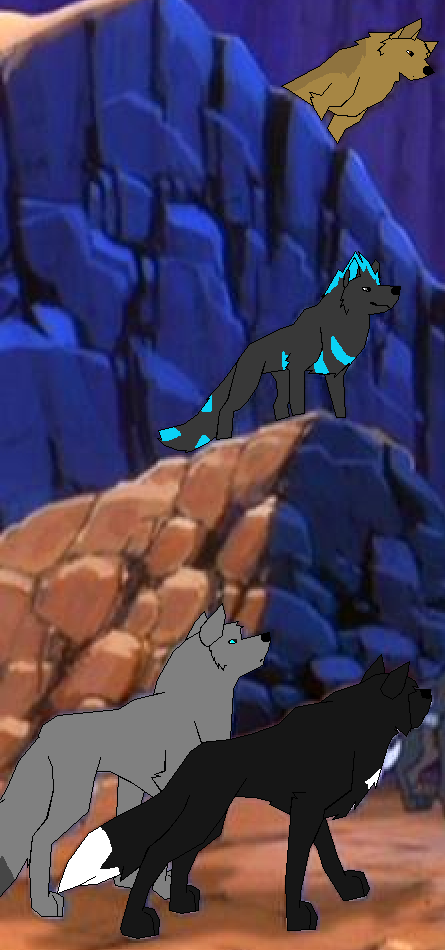 blackpaw's team