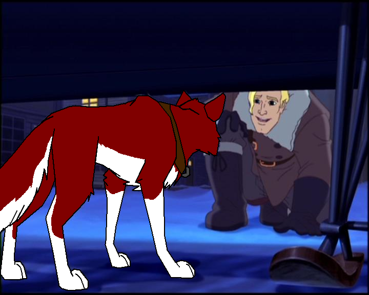 my dingo