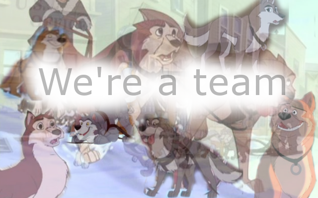 The Team