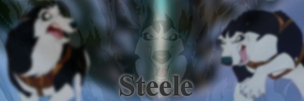 Simple Steele Siggie