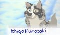 IchiRuki fanatic