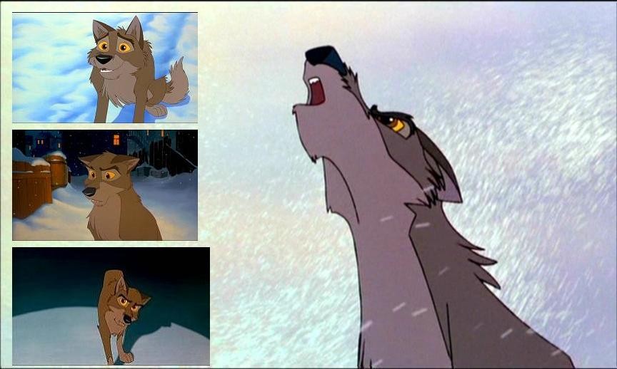 Howling away the pain and rejection...