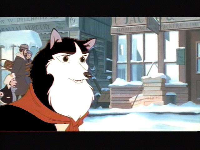 Random Dog