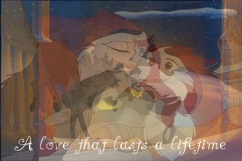 A love that lasts a lifetime