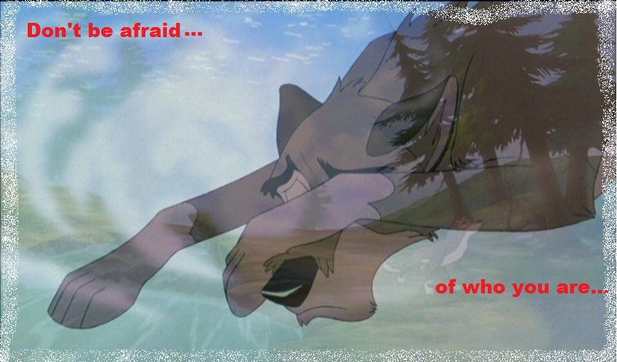 Who you are...