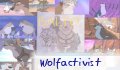 wolfactivist