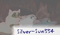 Silver-Sun334