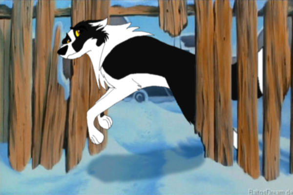 BaltoSimba17's Request - Maxwell