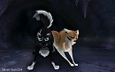 Namir protecting Cheyenne :3