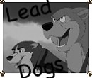 Lead Dogs Avatar