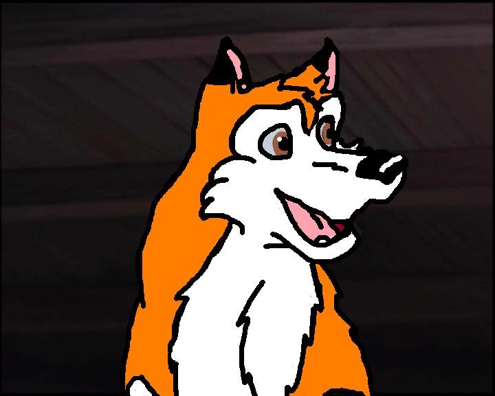 kander the fox