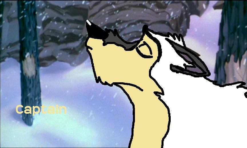 request-keweel109