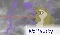 wolfhusky
