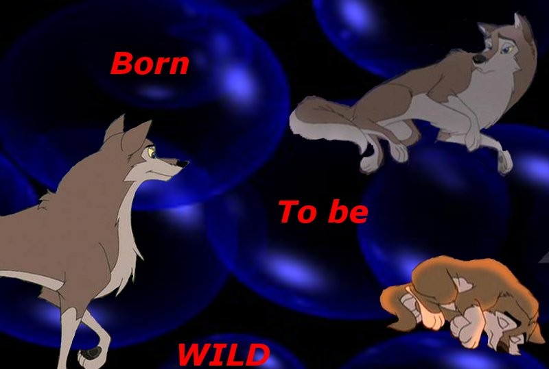 Born to be wild