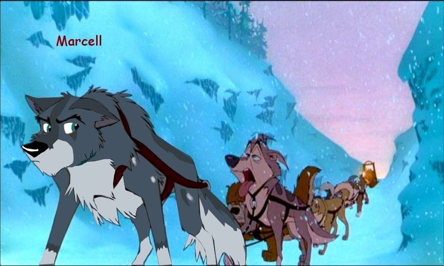 Marcell for anileu