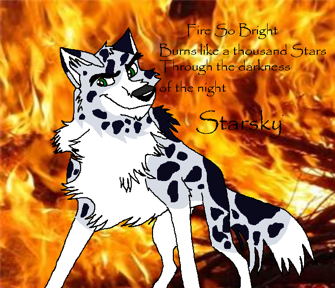Starsky fire