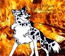 Starsky fire
