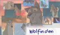 wolfinden