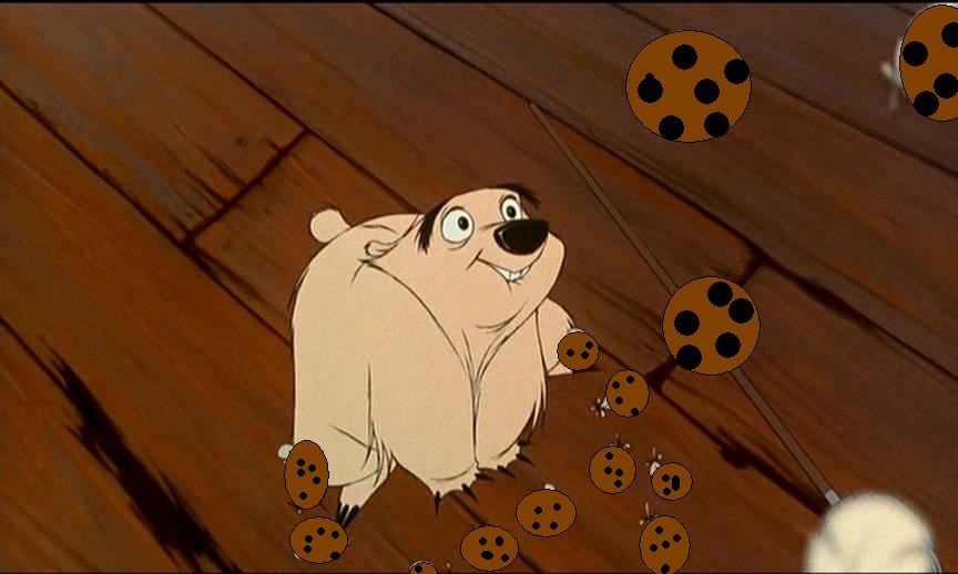 COOKIES!!!