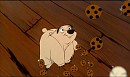 COOKIES!!!