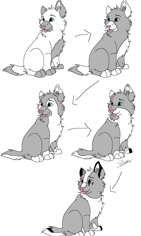Changes