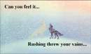 Can you feel it?