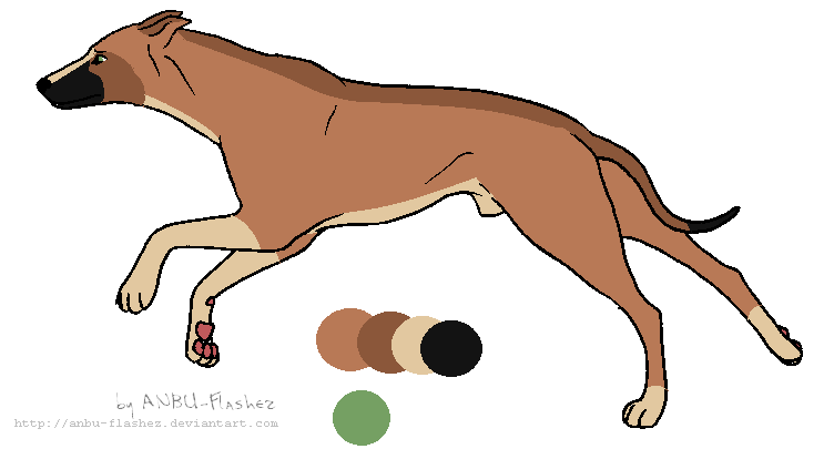 Dogatto redesign