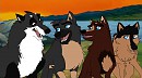The four princes of Warrior Falls :D
