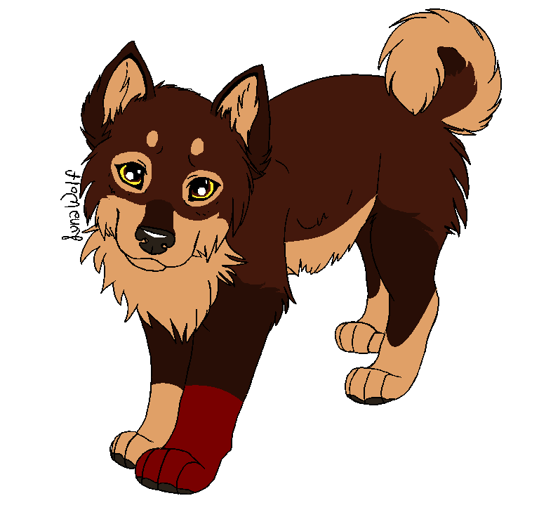 Adorable lil' puppy time XD