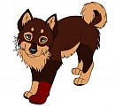 Adorable lil' puppy time XD