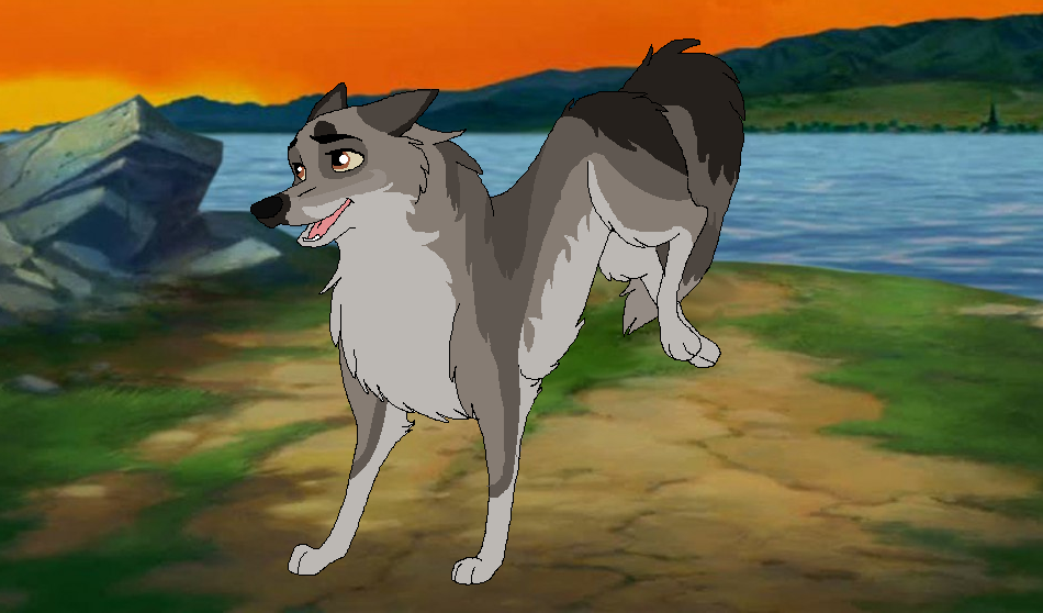 #4 Adoptable try out