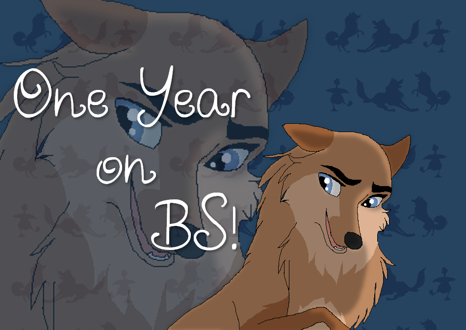One Year Anniversary on BS! 