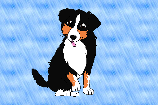 Laura puppy!