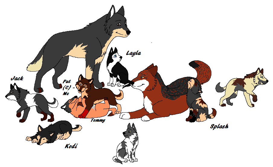 Pat's family- Adopts.