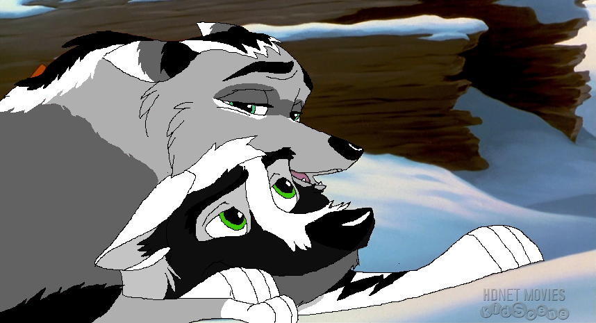 Contest Prize 1.- Artic Wolf